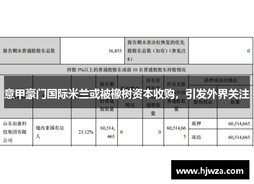 意甲豪门国际米兰或被橡树资本收购，引发外界关注